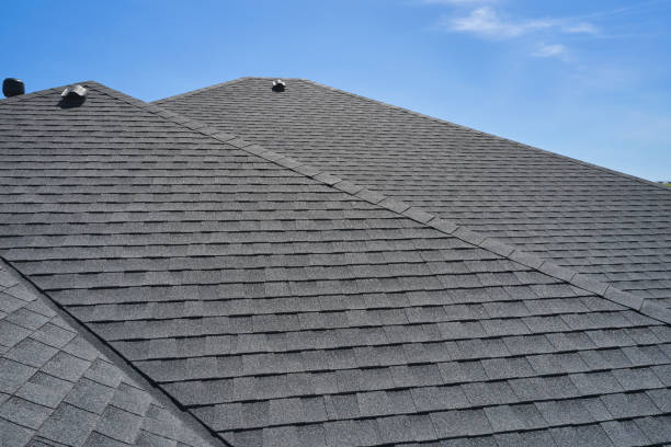 Best Roof Coating and Sealing  in Ingalls Park, IL